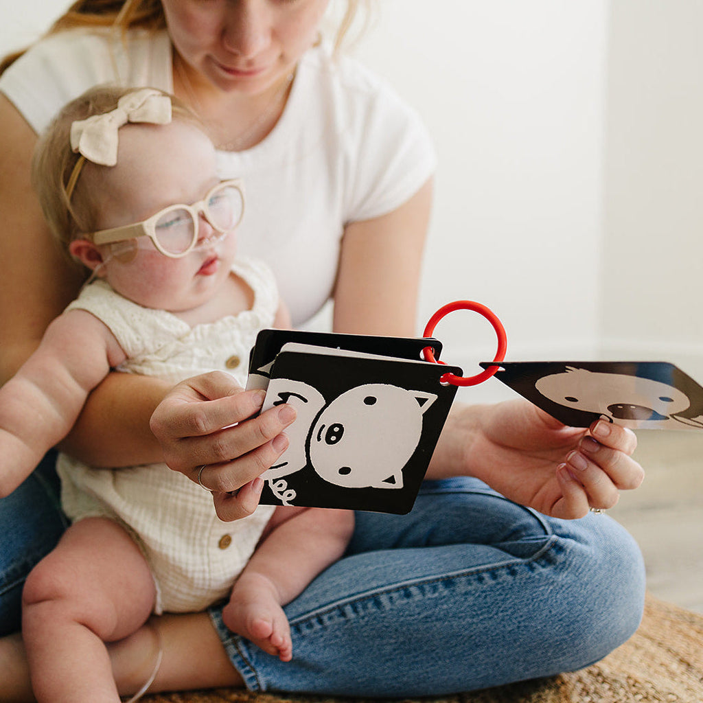 The Original, High Contrast (Black, White, Red) Flashcards for Baby
