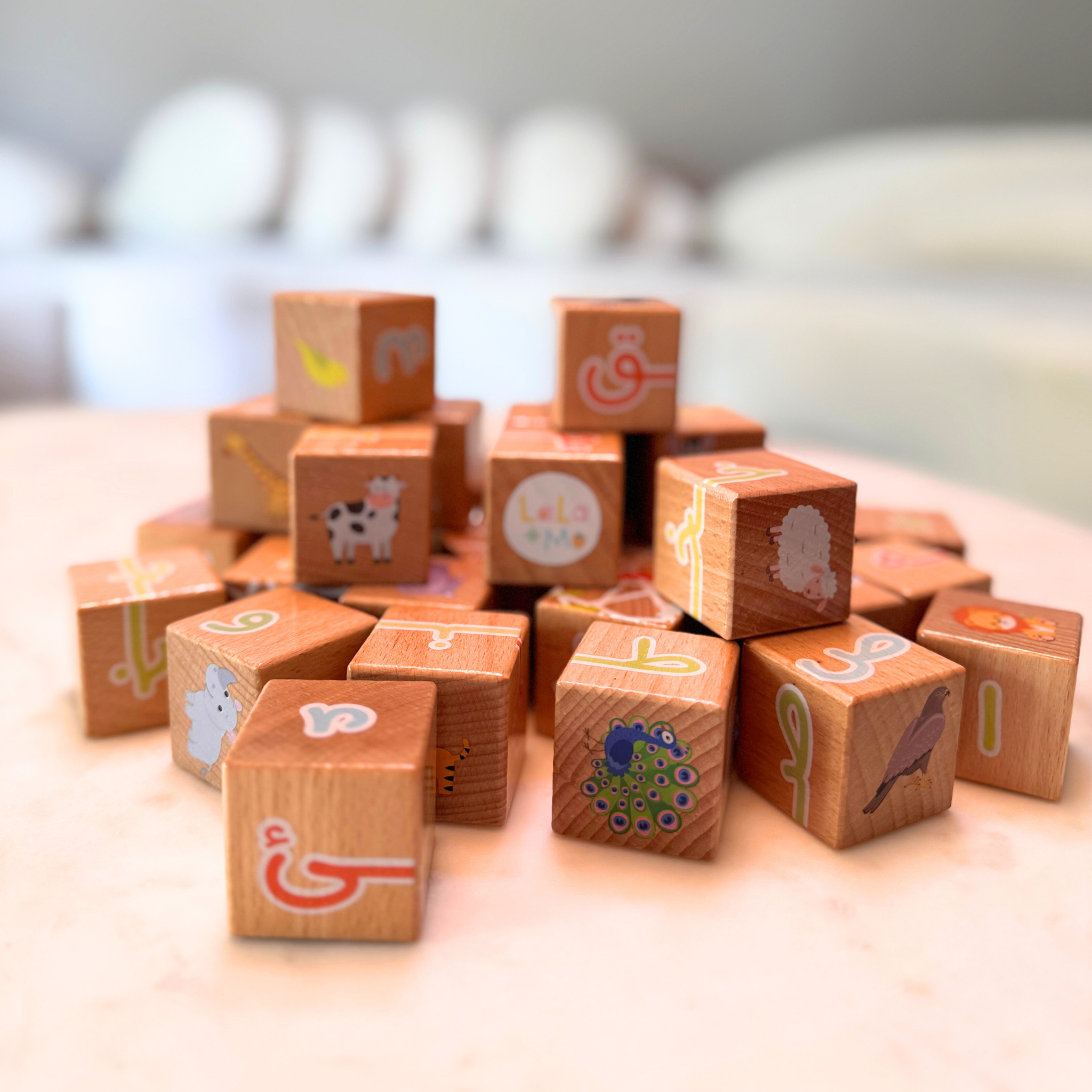 My First ARABIC ALPHABET Blocks with Dry Erase Activity Cards (PRE-ORDER FOR LATE OCTOBER)