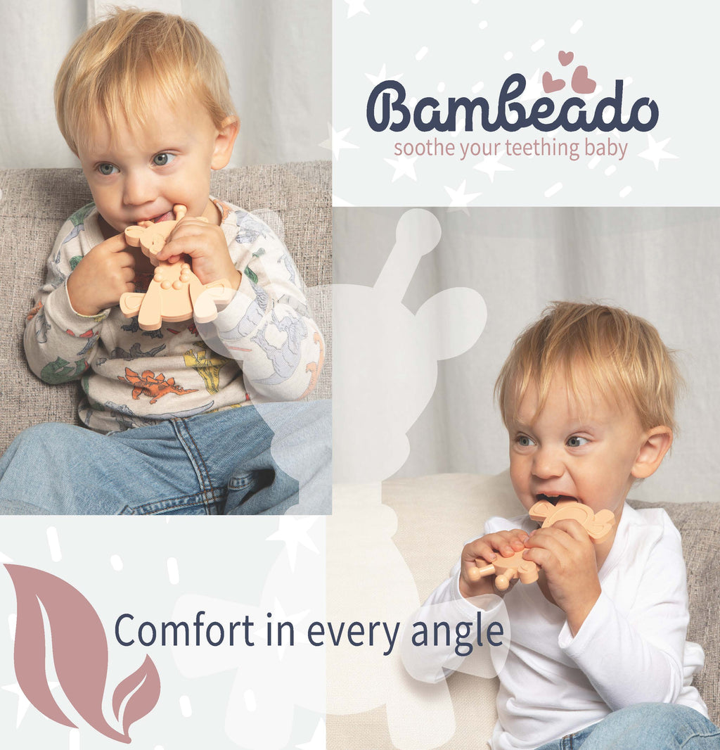 The Little Bamber - Pink - Natural Rubber & Baltic Amber Teething Toy