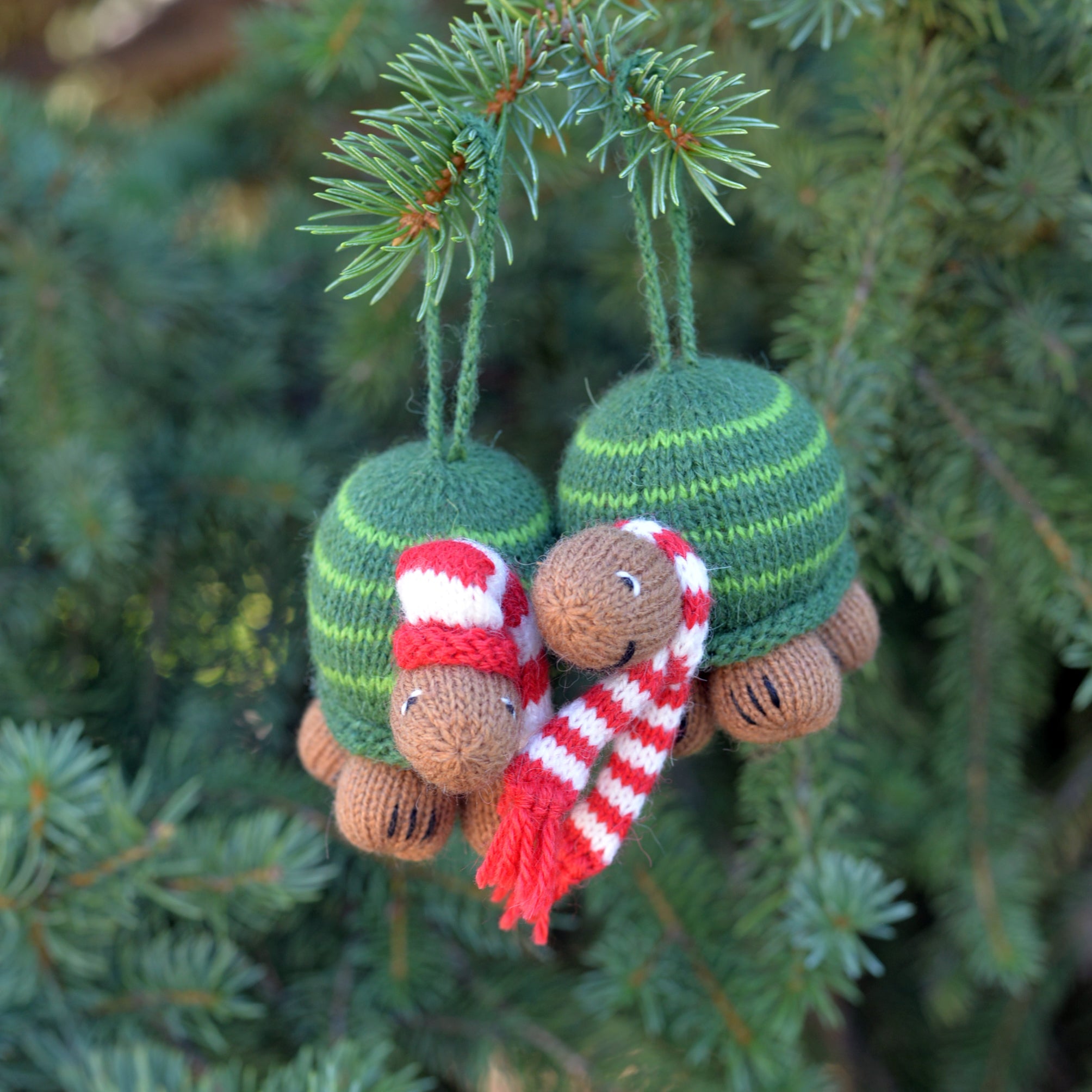Turtle Ornament- set of 2