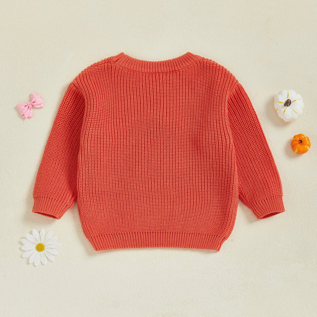 Baby Toddler Kids Girl Halloween Sweater Long Sleeve Round Neck Ghost Flower Embroidery Knit Pullover Top